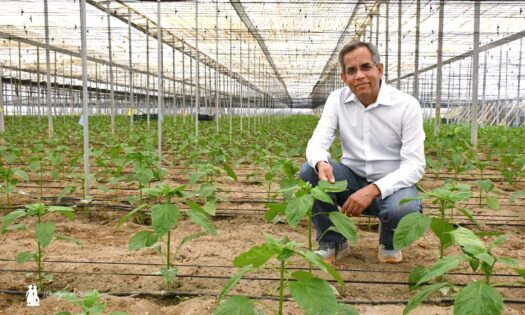 Jagresh Rana, nuevo CEO de Plant Health Care / agroautentico.com
