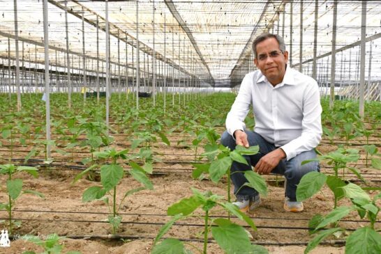 Nuevo CEO de Plant Health Care: “Lo visto en Almería y Granada es único en el mundo”