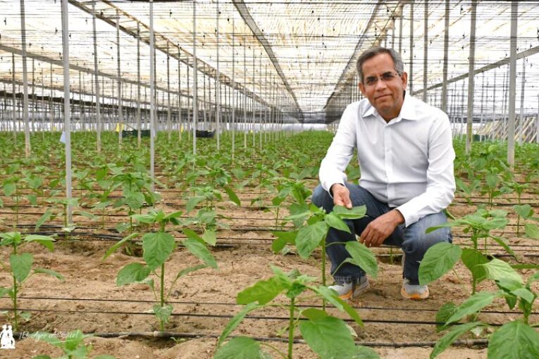 Nuevo CEO de Plant Health Care: “Lo visto en Almería y Granada es único en el mundo”