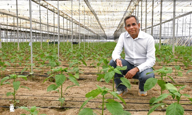 Jagresh Rana, nuevo CEO de Plant Health Care / agroautentico.com