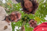 Anecoop lidera el cultivo de la papaya en Almería a través de Hortamar