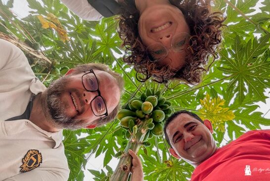 Anecoop lidera el cultivo de la papaya en Almería a través de Hortamar