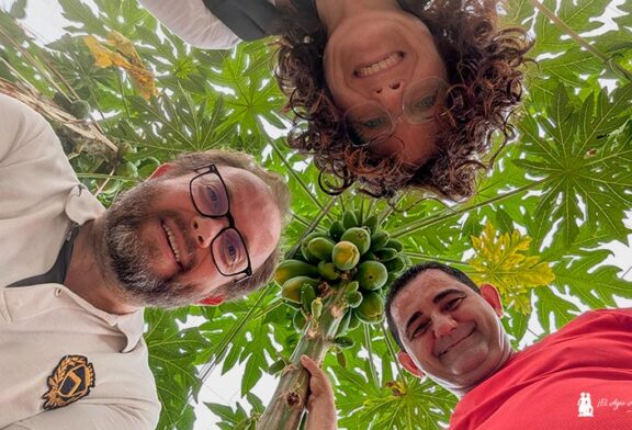 Anecoop lidera el cultivo de la papaya en Almería a través de Hortamar