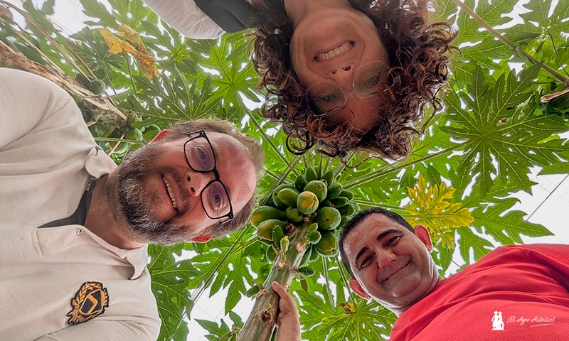 Anecoop lidera el cultivo de la papaya en Almería a través de Hortamar