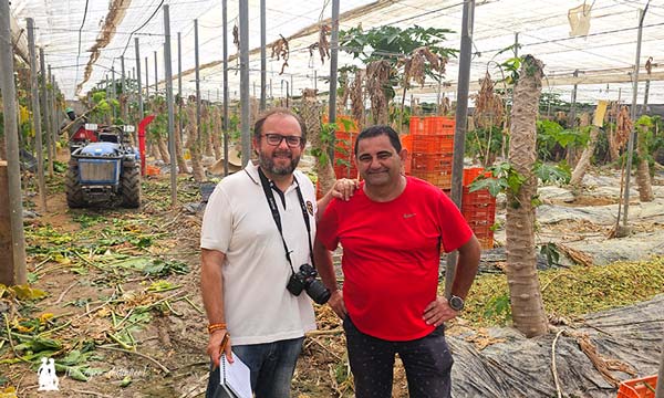 José Antonio Arcos en un invernadero de papayas con el agricultor Emilio López de Hortamar / agroautentico.com
