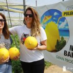 Ramiro Arnedo se estrena en melón amarillo con Bahamas y Nassau 2