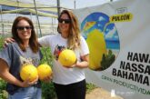 Ramiro Arnedo se estrena en melón amarillo con Bahamas y Nassau