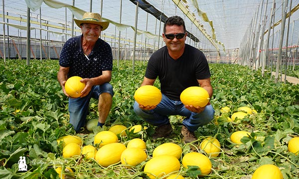 Ramiro Arnedo se estrena en melón amarillo con Bahamas y Nassau