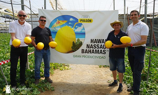 Ramiro Arnedo se estrena en melón amarillo con Bahamas y Nassau