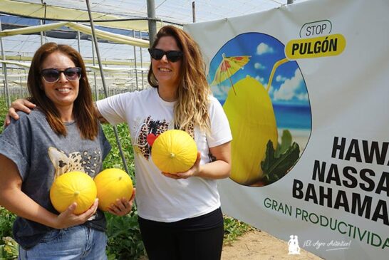 Ramiro Arnedo se estrena en melón amarillo con Bahamas y Nassau