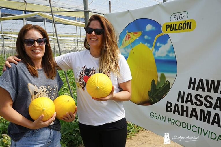 Ramiro Arnedo se estrena en melón amarillo con Bahamas y Nassau