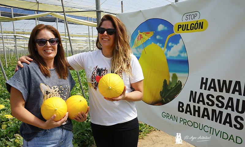 Ramiro Arnedo se estrena en melón amarillo con Bahamas y Nassau
