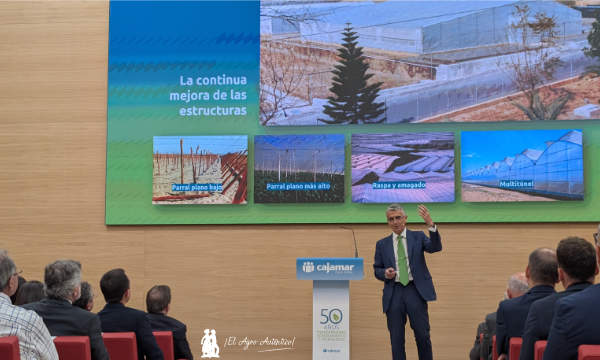 Roberto García Torrente explica que la mejora de las estructuras ha estado siempre presente en los 50 años de Las Palmerillas / agroautentico.com