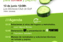 Día 13 de junio. Soluciones Bayer para tomate y pepino