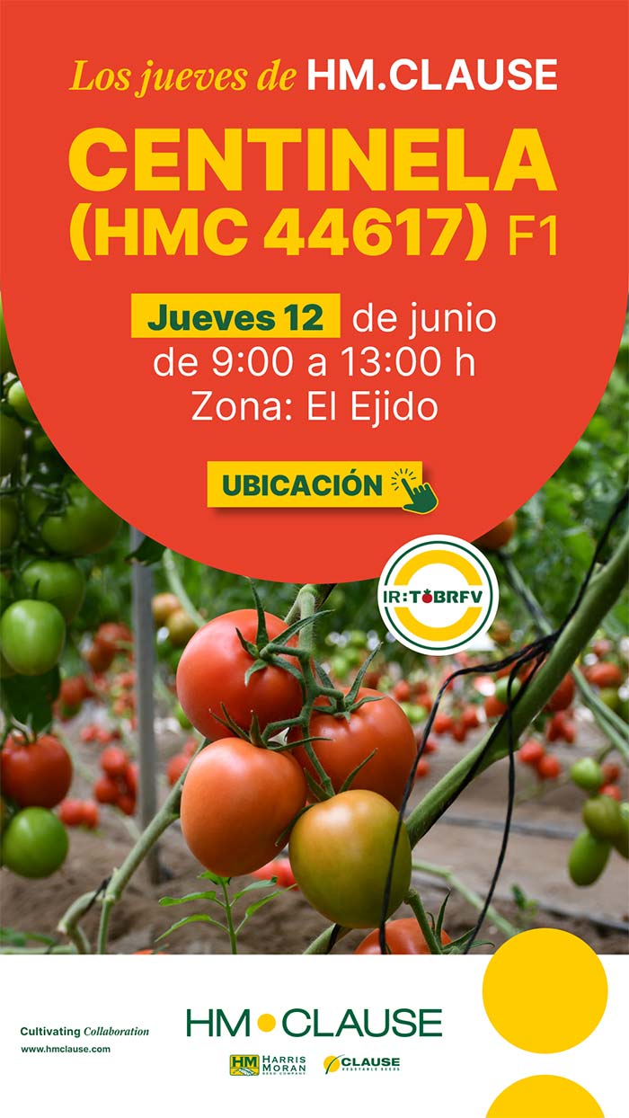 Día 12 de junio. Jornada de tomate pera de HM.Clause