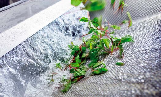 Un informe de la EFSA refuerza el modelo de desinfección del Sistema Citrocide ® Fresh-Cut