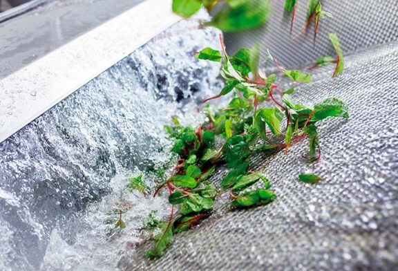 Un informe de la EFSA refuerza el modelo de desinfección del Sistema Citrocide ® Fresh-Cut