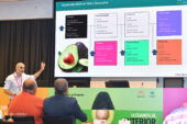 El aguacate rompe todos los registros y no conoce techo