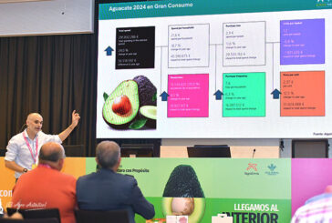 El aguacate rompe todos los registros y no conoce techo