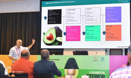 Xavier Cross muestra las grandes cifras del aguacate / agroautentico.com