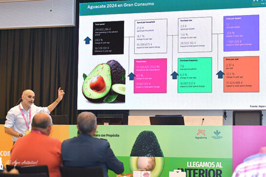 El aguacate rompe todos los registros y no conoce techo