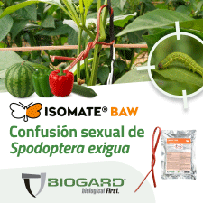 CUADRADO 2 BIOGARD