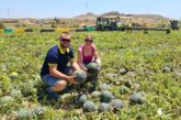 Agrocolor certifica la huella hídrica y de carbono de Agrícola Navarro de Haro