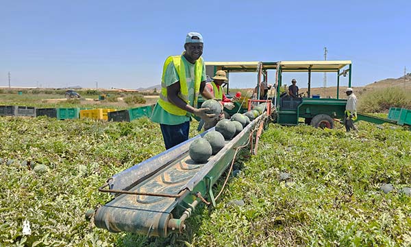Agrocolor certifica la huella hídrica y de carbono de Agrícola Navarro de Haro 5