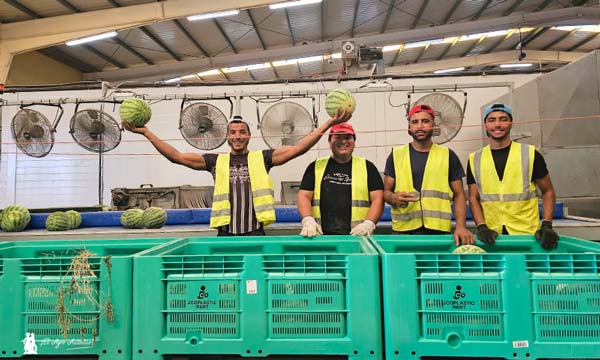 Agrocolor certifica la huella hídrica y de carbono de Agrícola Navarro de Haro 10