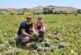 Agrocolor certifica la huella hídrica y de carbono de Agrícola Navarro de Haro