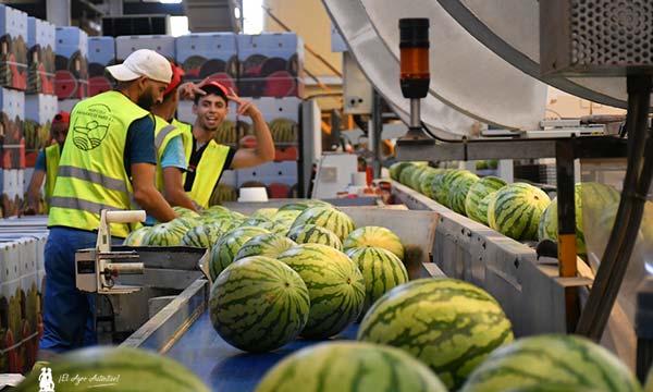 Agrocolor certifica la huella hídrica y de carbono de Agrícola Navarro de Haro 13