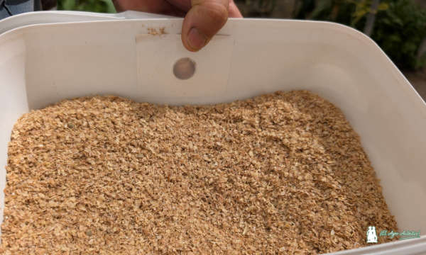 Alimentación extra con Carpoglyphus. Control de Parvispinus con bichos / agroautentico.com