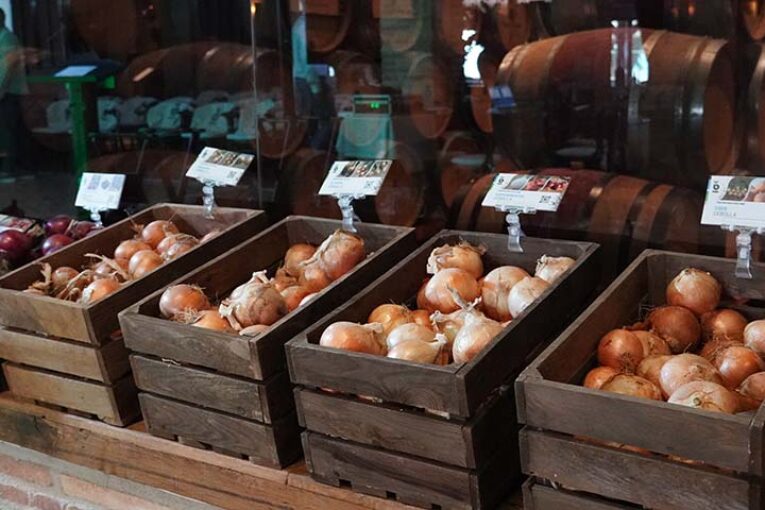 Bejo celebra con éxito su Simposio de Cebolla en la Bodega Pago del Cirsus