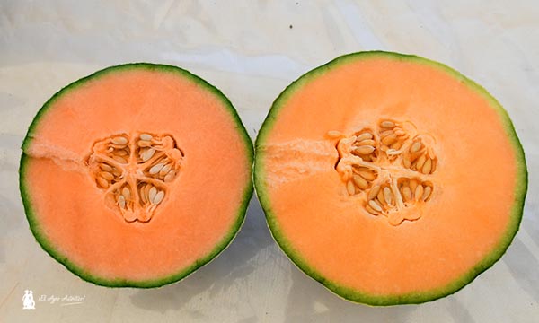 Thebes y Delphes en cantaloup de Nunhems