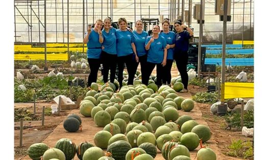 CapGen avanza con centros de investigación especializados en melón y sandía