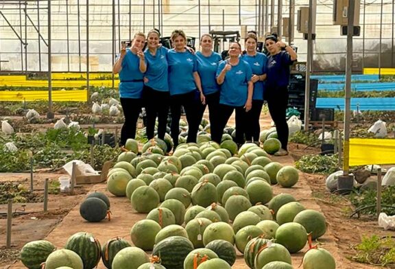 CapGen avanza con centros de investigación especializados en melón y sandía