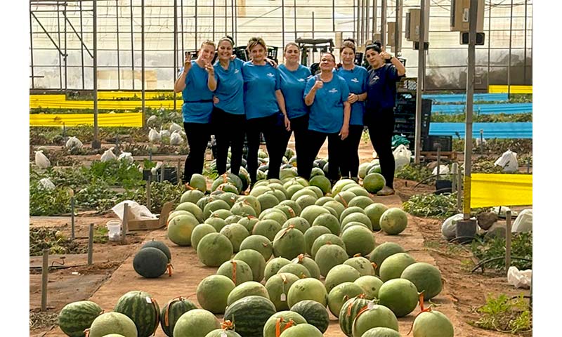 CapGen avanza con centros de investigación especializados en melón y sandía