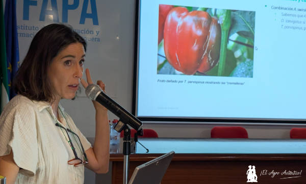 Estefanía Rodríguez, investigadora de Ifapa-La Mojonera / agroautentico.com