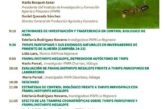 Día 17 de julio. Franklinothrips megalops, un depredador autóctono para el control biológico del Parvispinus
