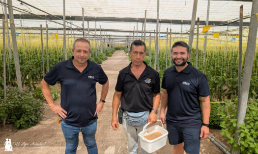 Control biológico con Biosur. José Luis González Vaca, Pedro Cabrera y Manolo Sierra / agroautentico.com