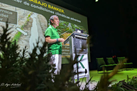 La presencia de biodiversidad en los invernaderos reduce más de un 50% las poblaciones de plagas