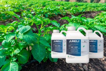 Lanzamiento de Areli, nuevo producto de Certis Belchim para el control del mildiu en patata