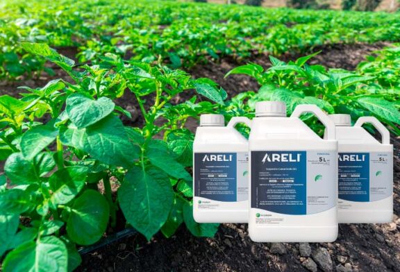 Lanzamiento de Areli, nuevo producto de Certis Belchim para el control del mildiu en patata