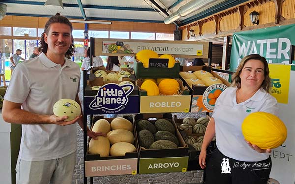 Melón amarillo de Semillas Fitó 3