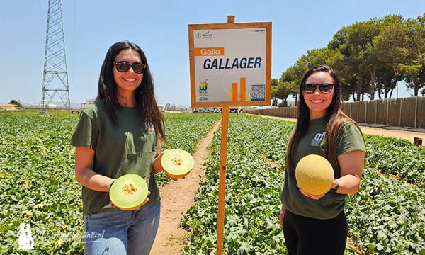 Ana Mellado y Melissa Diquez con los Galias de Bayer Seminis / agroautentico.com