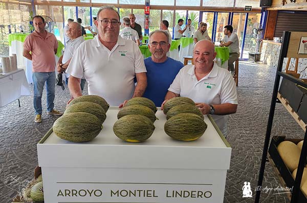 Melón Lindero de Semillas Fitó