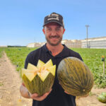 a ‘superplanta’ en melón piel de sapo ya tiene dos nombres propios: Izalco y Aralco 2