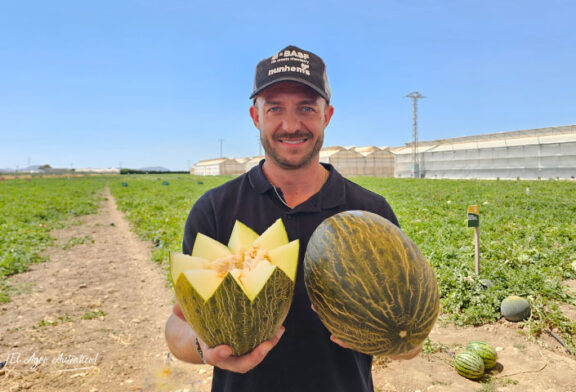 La ‘superplanta’ en melón piel de sapo ya tiene dos nombres propios: Izalco y Aralco