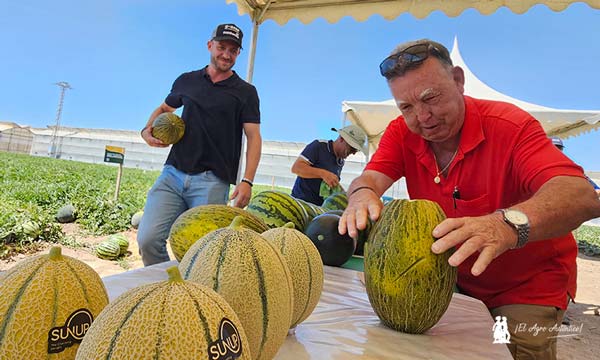 a ‘superplanta’ en melón piel de sapo ya tiene dos nombres propios: Izalco y Aralco