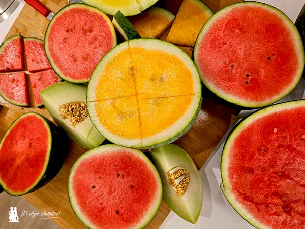 Sandía y melón no solo en el postre 4
